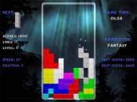 Fantasy tetris