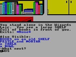 Wizard, What Wizard? (ZX Spectrum)