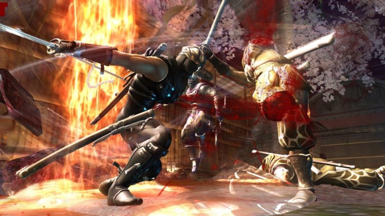 Ninja Gaiden 2