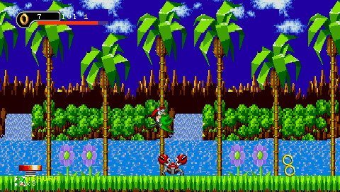 Ashura The Hedgehog (Demo)