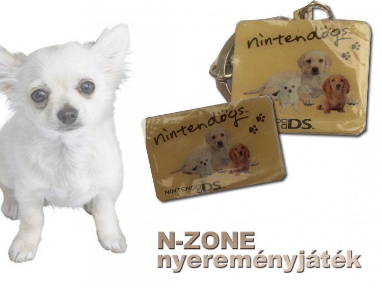 Nintendogs nyereményjáték az N-ZONE-on