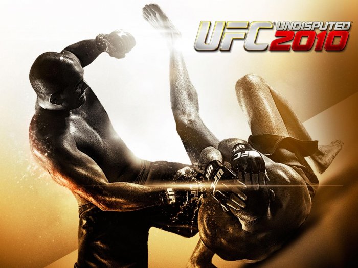 UFC Undisputed 2010