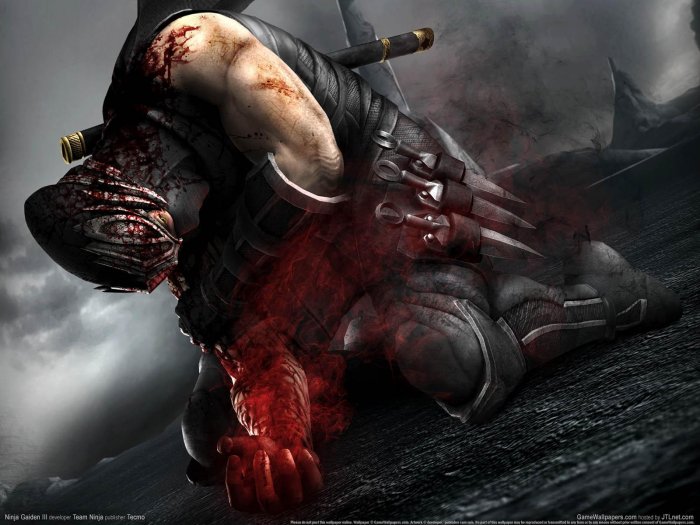 Ninja Gaiden 3