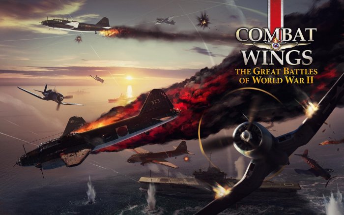 Combat Wings